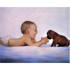 Схема вышивки s00dz-018