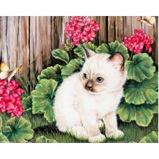 Схема вышивки s02kt-004 "Котенок"