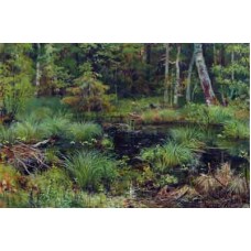 Схема вышивки s33-029 "Родник в лесу"